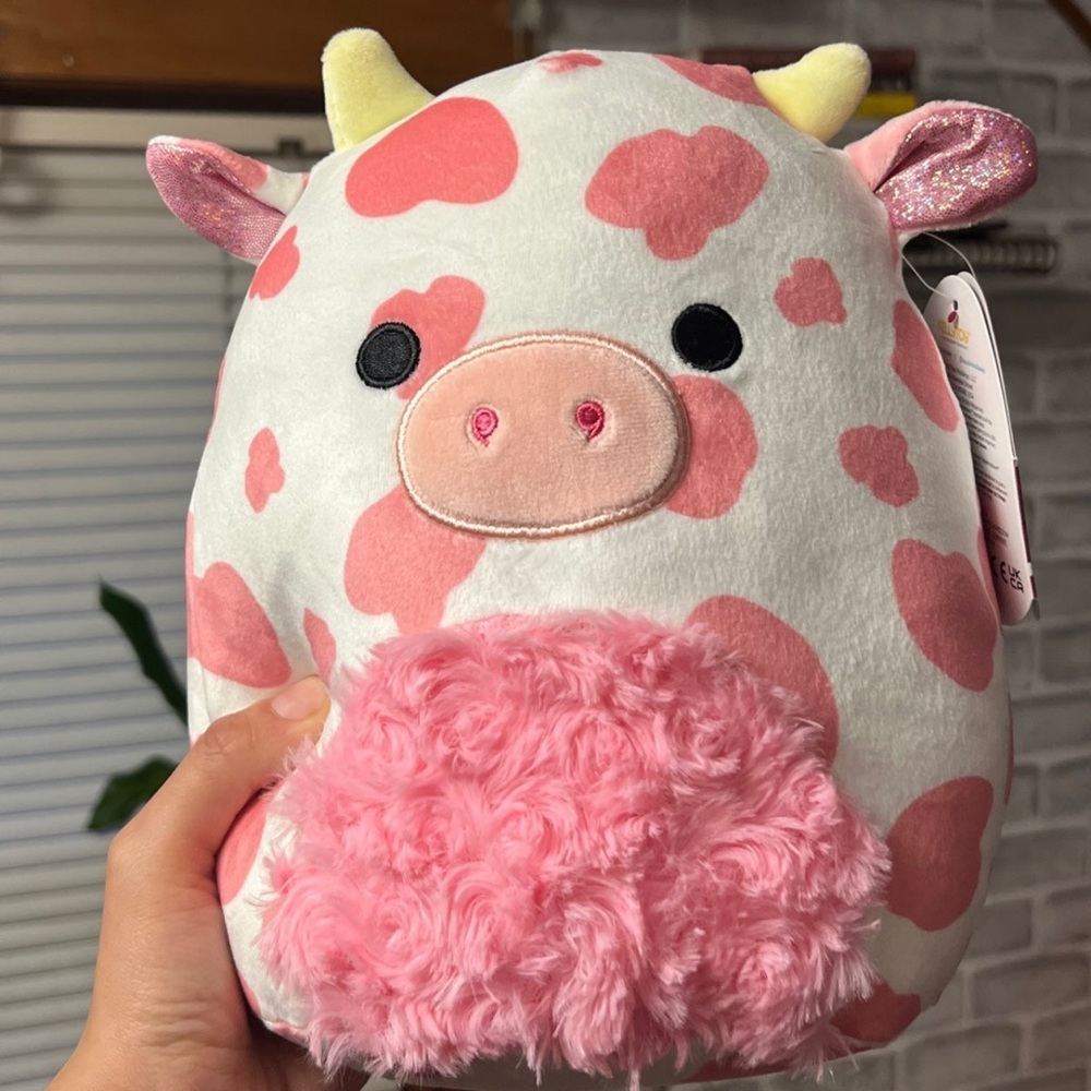 Evangelica squishmallow Valentines